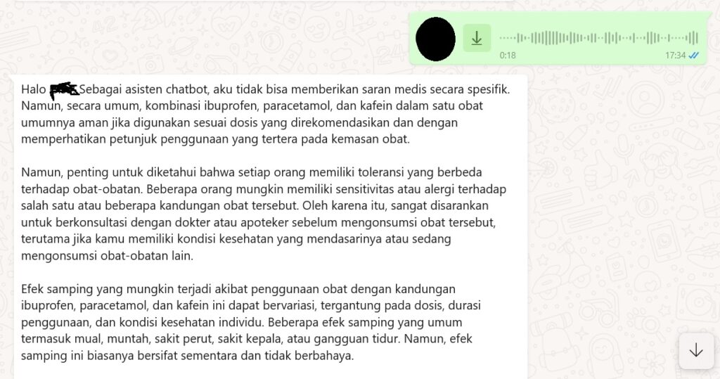 fitur voice note Aruna AI